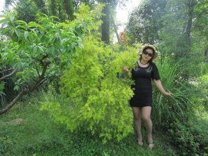 身材略丰满的墨镜人妻穿肉丝外出玩耍