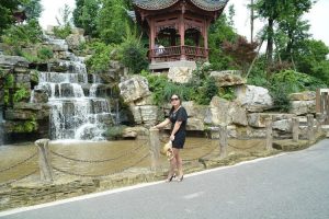 身材略丰满的墨镜人妻穿肉丝外出玩耍