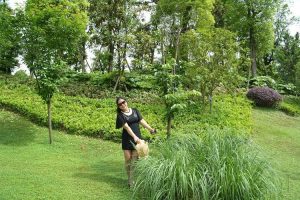 身材略丰满的墨镜人妻穿肉丝外出玩耍