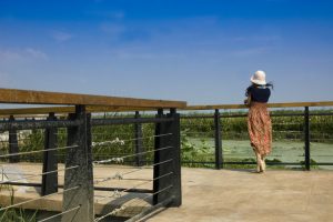 湖边优雅的熟女山阿姨