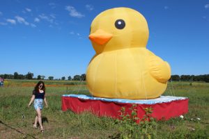 美女宝宝姐穿超短裙秀美腿在花海拍照