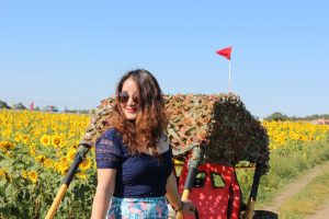 美女宝宝姐穿超短裙秀美腿在花海拍照