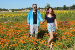 美女宝宝姐穿超短裙秀美腿在花海拍照