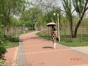 历史陈老师公园里面的肉丝白靴子