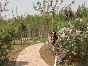 历史陈老师公园里面的肉丝白靴子