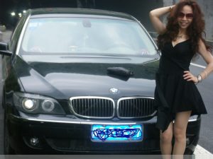 开宝马的熟妇肉丝高跟短裙