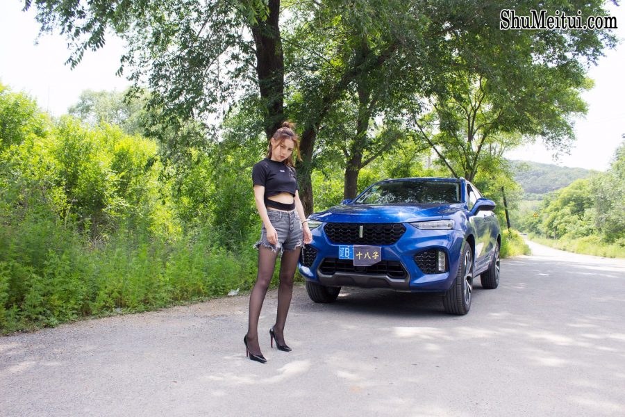 长腿黑丝高跟媳妇给VV7当车模[第11张/共19张]