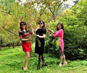 温暖阿姨和姐妹们在野外秀腿