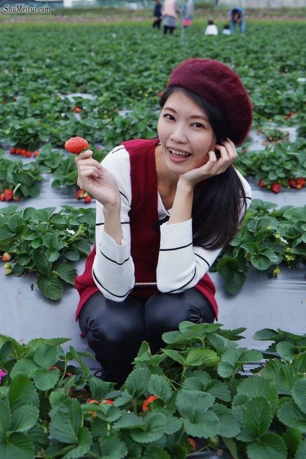 长腿美丽人妻CC姐穿紧身皮裤采摘草莓[第1张/共31张]