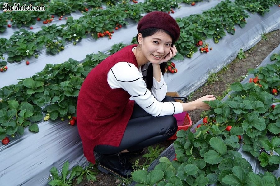 长腿美丽人妻CC姐穿紧身皮裤采摘草莓[第10张/共31张]