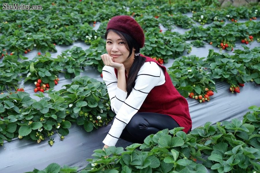 长腿美丽人妻CC姐穿紧身皮裤采摘草莓[第12张/共31张]