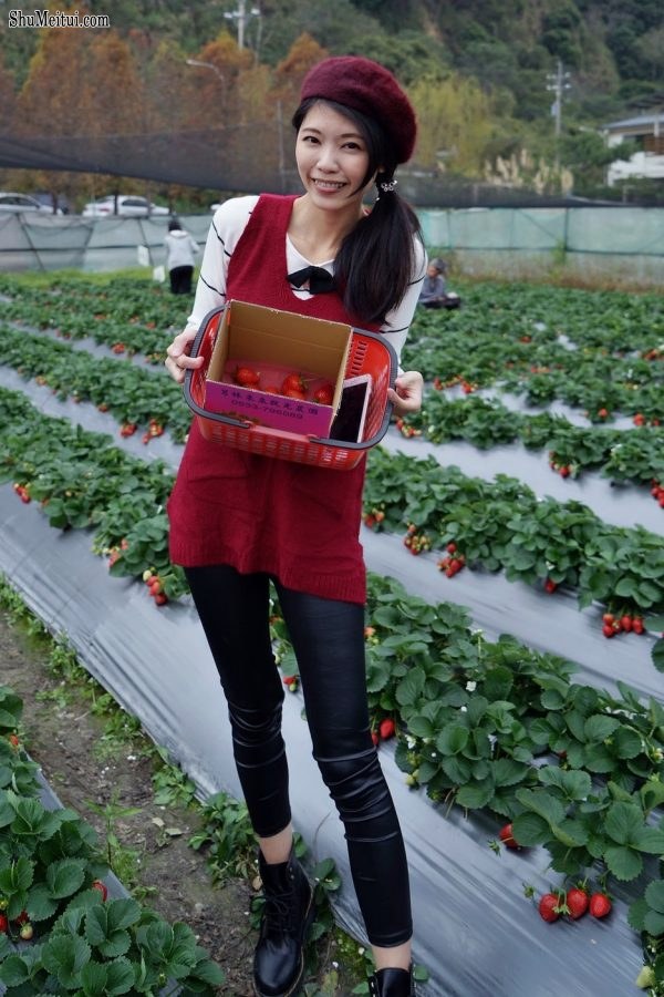 长腿美丽人妻CC姐穿紧身皮裤采摘草莓[第16张/共31张]