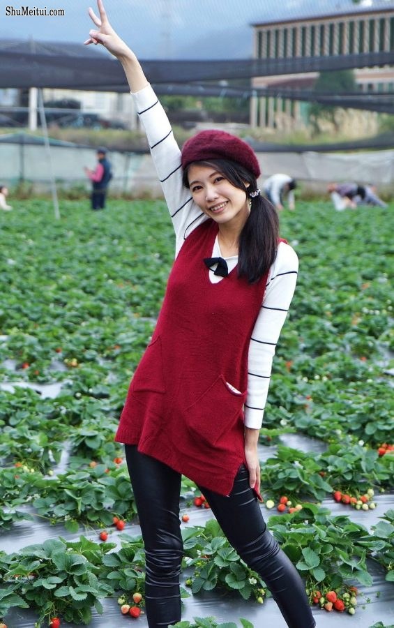 长腿美丽人妻CC姐穿紧身皮裤采摘草莓[第21张/共31张]