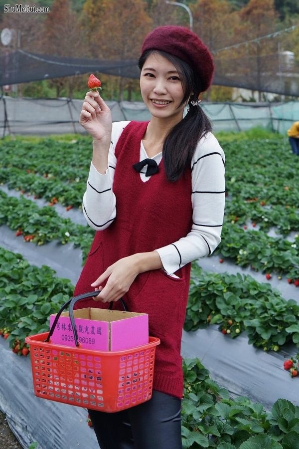 长腿美丽人妻CC姐穿紧身皮裤采摘草莓[第25张/共31张]