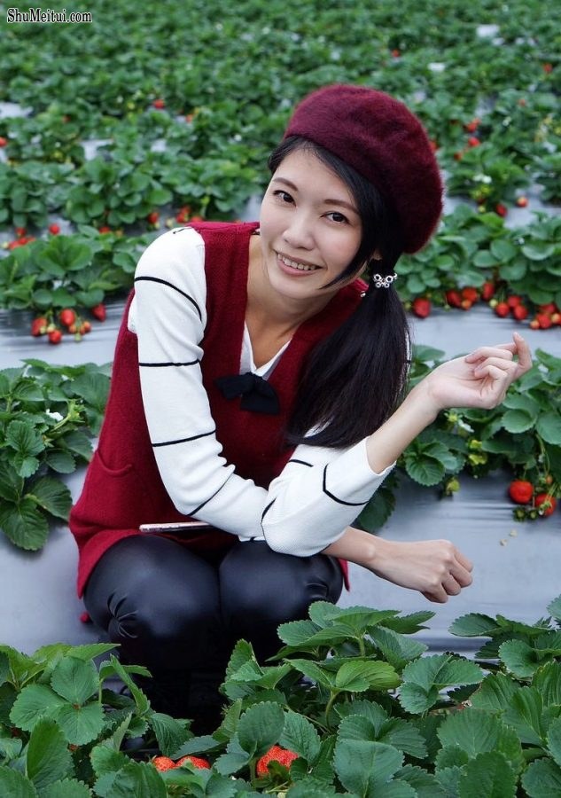 长腿美丽人妻CC姐穿紧身皮裤采摘草莓[第26张/共31张]
