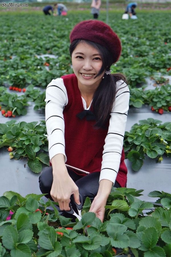 长腿美丽人妻CC姐穿紧身皮裤采摘草莓[第5张/共31张]