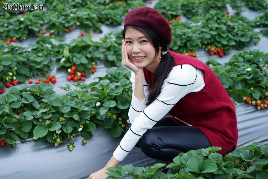 长腿美丽人妻CC姐穿紧身皮裤采摘草莓[第9张/共31张]