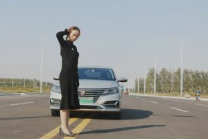 媳妇车模之丝袜高跟嫂子有气质