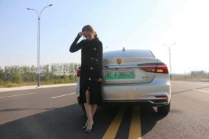 媳妇车模之丝袜高跟嫂子有气质