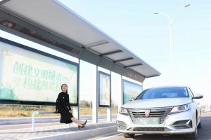 媳妇车模之丝袜高跟嫂子有气质