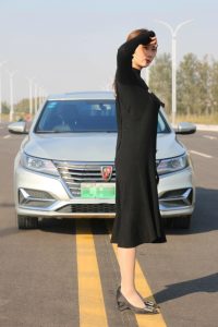 媳妇车模之丝袜高跟嫂子有气质