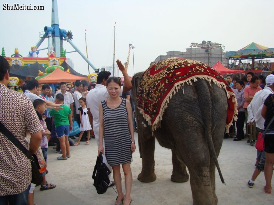 山东范姐娇小的身材秀美腿[第12张/共16张]