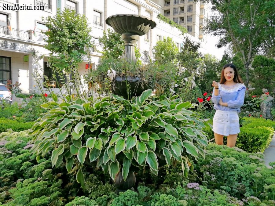 山东休嫂车内美白腿玉足[第13张/共19张]