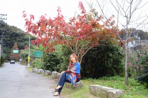 熟女宝岛甜甜秋日外拍景色醉人