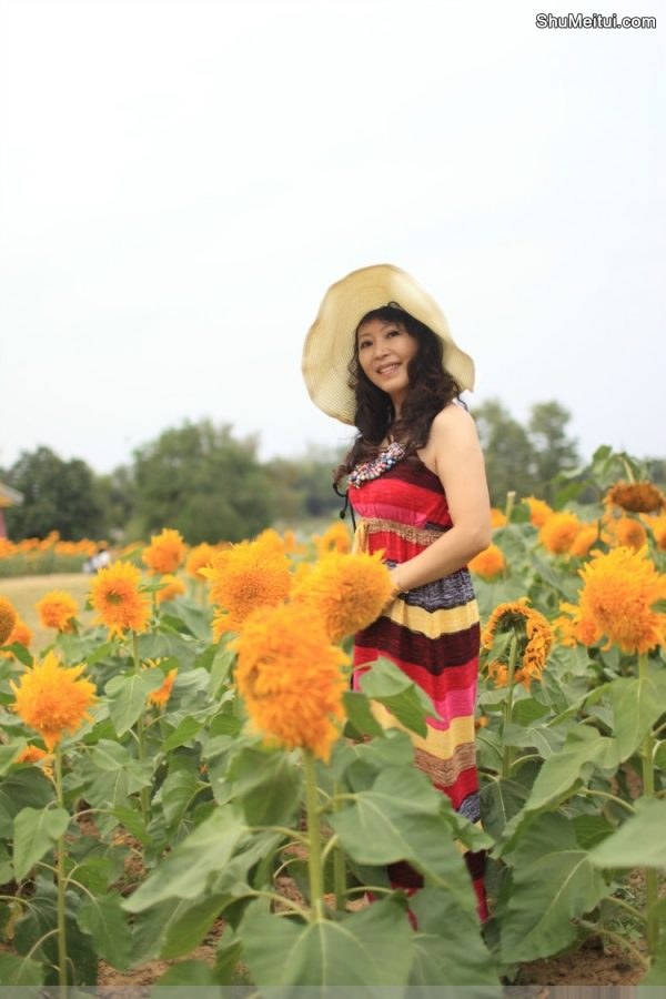心情很好的性感阿姨在向日葵地里拍照片[第10张/共15张]