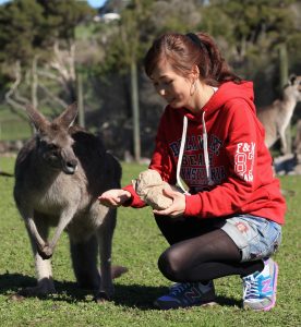 迷人的美妇知风姐澳洲自驾游黑色裤袜篇