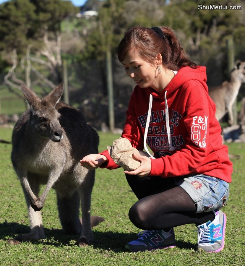 迷人的美妇知风姐澳洲自驾游黑色裤袜篇[第3张/共33张]