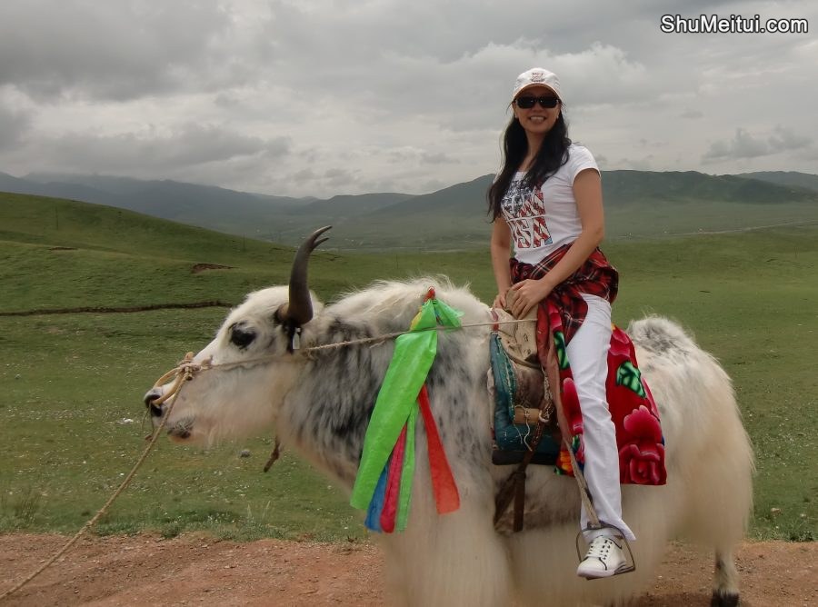 在青海旅行穿白裤骑牛的气质老师[第2张/共6张]