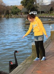 迷人的美妇知风姐澳洲自驾游黑色裤袜篇