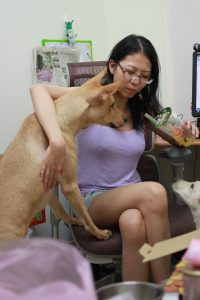 夏日穿着清凉的眼镜女跟二哈玩耍