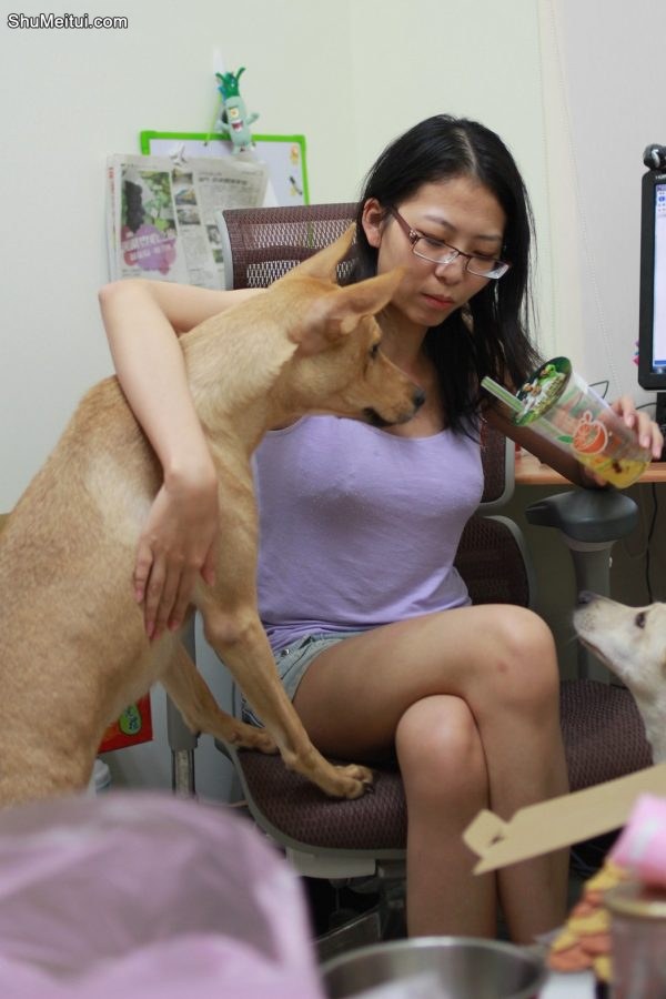 夏日穿着清凉的眼镜女跟二哈玩耍[第6张/共6张]