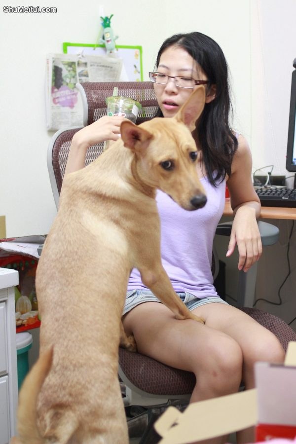 夏日穿着清凉的眼镜女跟二哈玩耍[第1张/共6张]